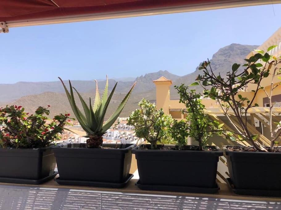 Apartamento Con Impresionantes Vistas Y Piscina Адехе Экстерьер фото